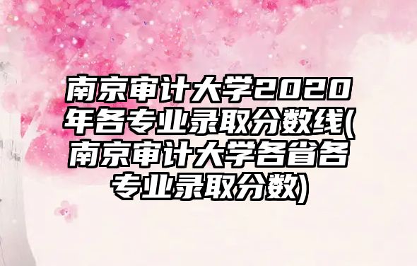 南京審計(jì)大學(xué)2020年各專(zhuān)業(yè)錄取分?jǐn)?shù)線(xiàn)(南京審計(jì)大學(xué)各省各專(zhuān)業(yè)錄取分?jǐn)?shù))