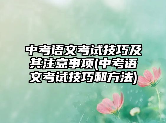 中考語(yǔ)文考試技巧及其注意事項(xiàng)(中考語(yǔ)文考試技巧和方法)