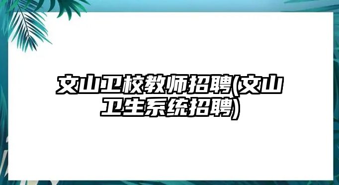 文山衛(wèi)校教師招聘(文山衛(wèi)生系統(tǒng)招聘)