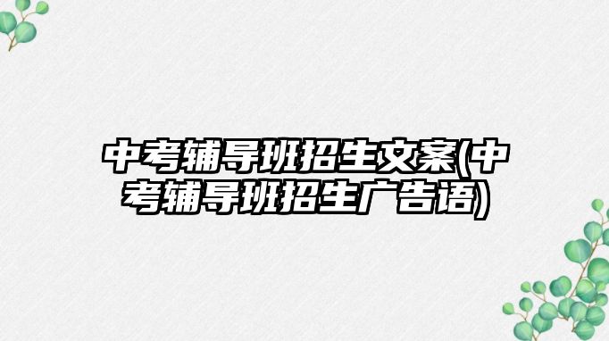 中考輔導班招生文案(中考輔導班招生廣告語)