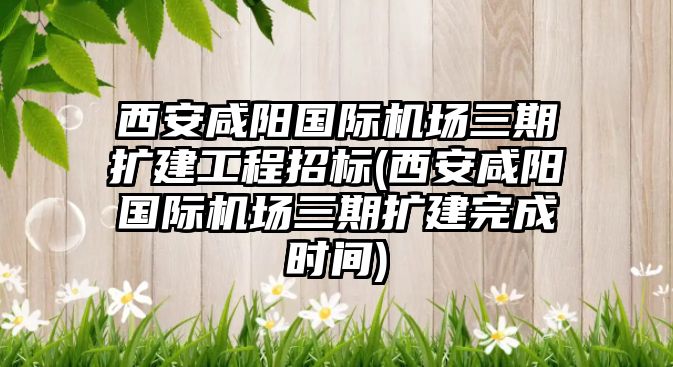 西安咸陽國際機場三期擴建工程招標(biāo)(西安咸陽國際機場三期擴建完成時間)