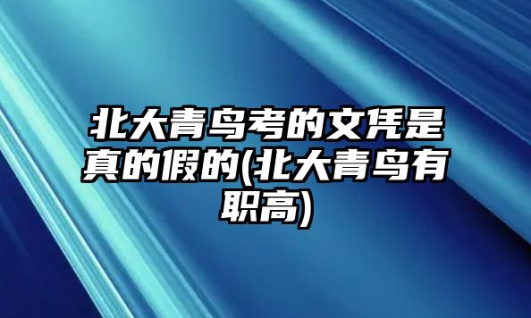 北大青鳥考的文憑是真的假的(北大青鳥有職高)