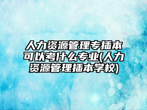 人力資源管理專插本可以考什么專業(yè)(人力資源管理插本學校)