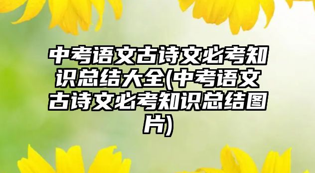 中考語文古詩文必考知識(shí)總結(jié)大全(中考語文古詩文必考知識(shí)總結(jié)圖片)