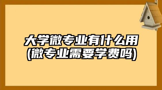 大學(xué)微專業(yè)有什么用(微專業(yè)需要學(xué)費嗎)