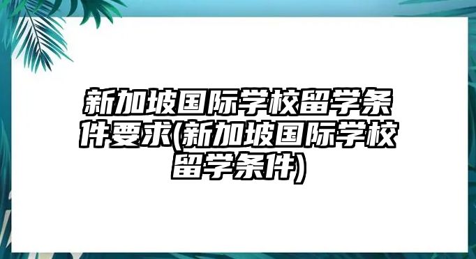 新加坡國(guó)際學(xué)校留學(xué)條件要求(新加坡國(guó)際學(xué)校留學(xué)條件)