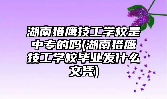 湖南獵鷹技工學校是中專的嗎(湖南獵鷹技工學校畢業(yè)發(fā)什么文憑)