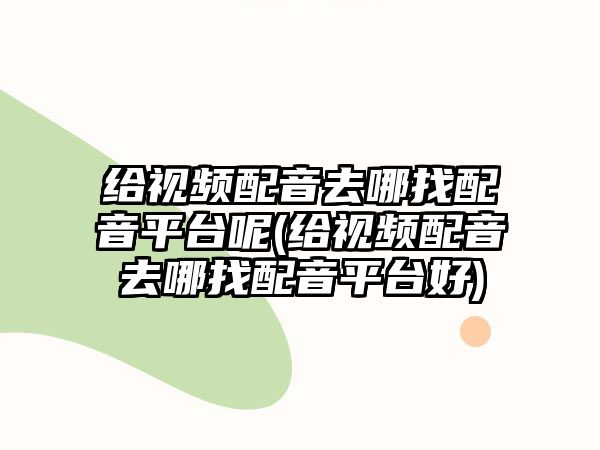 給視頻配音去哪找配音平臺呢(給視頻配音去哪找配音平臺好)