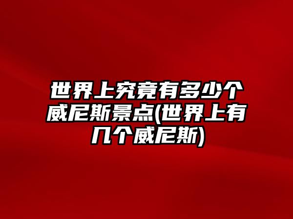 世界上究竟有多少個(gè)威尼斯景點(diǎn)(世界上有幾個(gè)威尼斯)