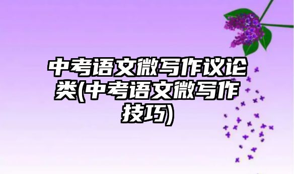 中考語文微寫作議論類(中考語文微寫作技巧)