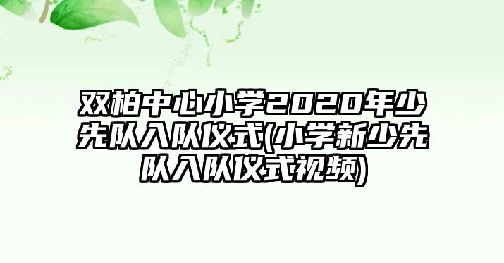 雙柏中心小學(xué)2020年少先隊入隊儀式(小學(xué)新少先隊入隊儀式視頻)