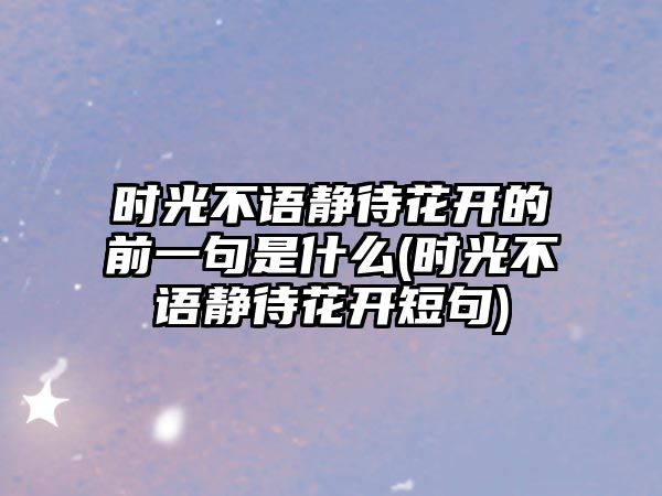 時(shí)光不語靜待花開的前一句是什么(時(shí)光不語靜待花開短句)