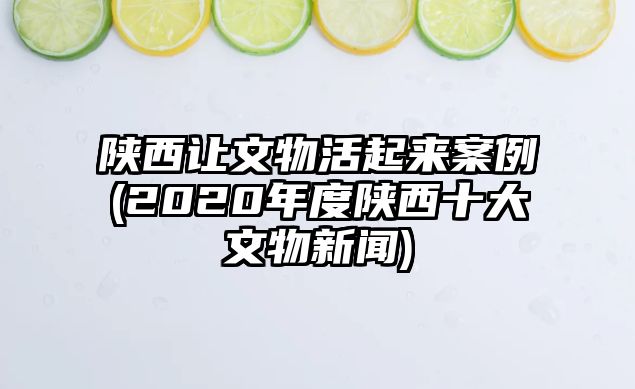 陜西讓文物活起來案例(2020年度陜西十大文物新聞)