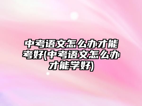 中考語文怎么辦才能考好(中考語文怎么辦才能學(xué)好)