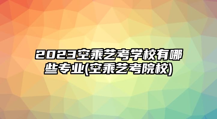 2023空乘藝考學(xué)校有哪些專業(yè)(空乘藝考院校)