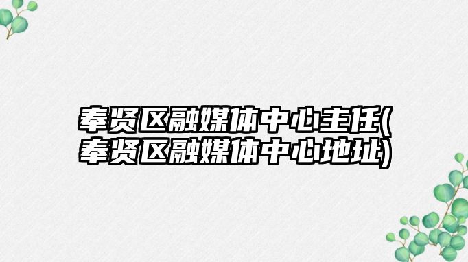 奉賢區(qū)融媒體中心主任(奉賢區(qū)融媒體中心地址)