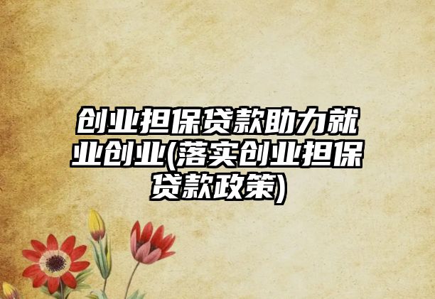 創(chuàng)業(yè)擔(dān)保貸款助力就業(yè)創(chuàng)業(yè)(落實創(chuàng)業(yè)擔(dān)保貸款政策)