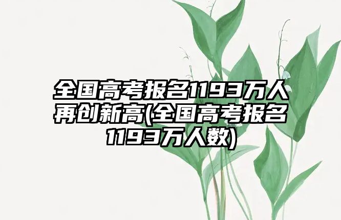 全國(guó)高考報(bào)名1193萬(wàn)人再創(chuàng)新高(全國(guó)高考報(bào)名1193萬(wàn)人數(shù))