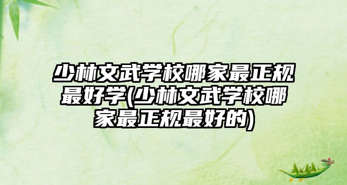 少林文武學校哪家最正規(guī)最好學(少林文武學校哪家最正規(guī)最好的)