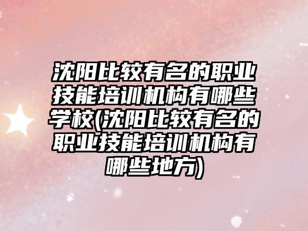 沈陽比較有名的職業(yè)技能培訓(xùn)機構(gòu)有哪些學(xué)校(沈陽比較有名的職業(yè)技能培訓(xùn)機構(gòu)有哪些地方)