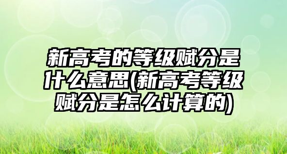 新高考的等級賦分是什么意思(新高考等級賦分是怎么計算的)