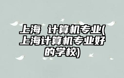 上海 計(jì)算機(jī)專業(yè)(上海計(jì)算機(jī)專業(yè)好的學(xué)校)