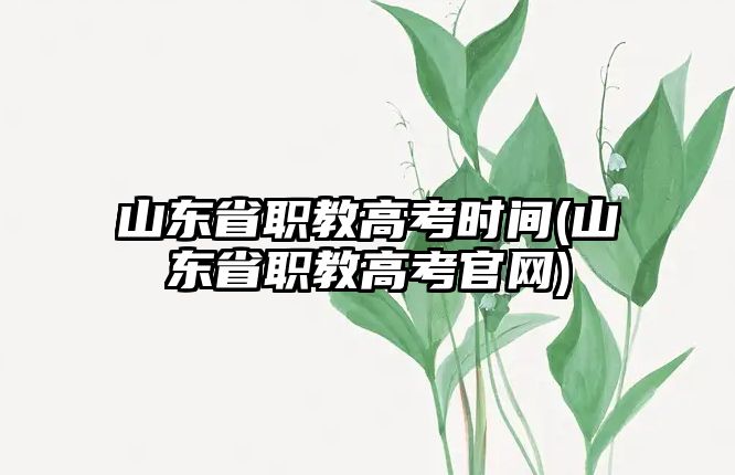 山東省職教高考時間(山東省職教高考官網(wǎng))