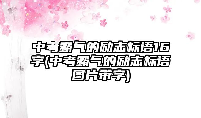 中考霸氣的勵(lì)志標(biāo)語16字(中考霸氣的勵(lì)志標(biāo)語圖片帶字)