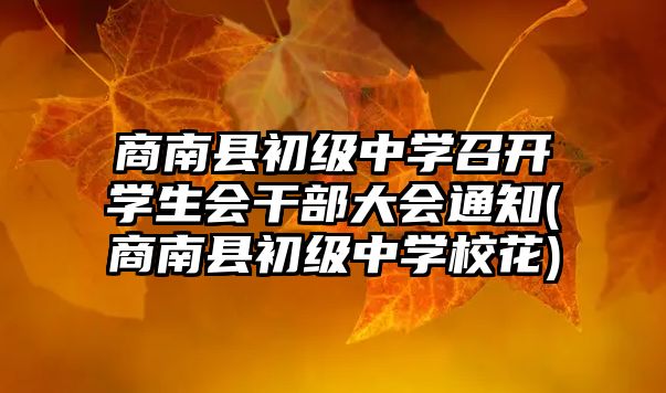 商南縣初級(jí)中學(xué)召開學(xué)生會(huì)干部大會(huì)通知(商南縣初級(jí)中學(xué)?；?