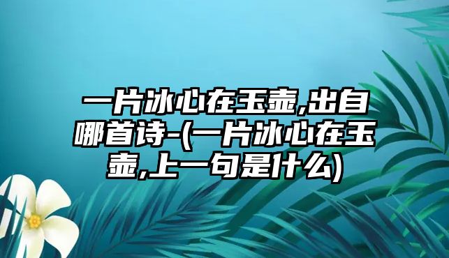 一片冰心在玉壺,出自哪首詩-(一片冰心在玉壺,上一句是什么)