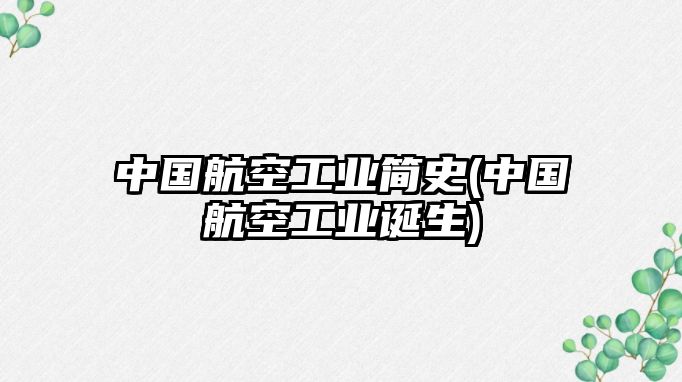 中國航空工業(yè)簡史(中國航空工業(yè)誕生)