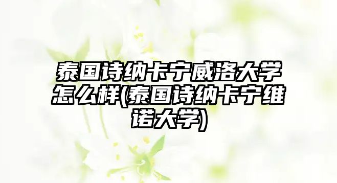 泰國詩納卡寧威洛大學怎么樣(泰國詩納卡寧維諾大學)