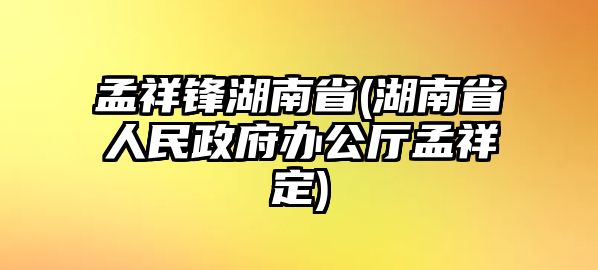 孟祥鋒湖南省(湖南省人民政府辦公廳孟祥定)