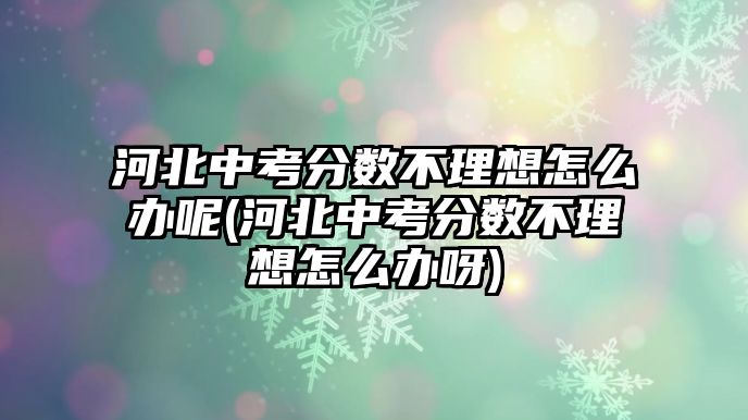 河北中考分?jǐn)?shù)不理想怎么辦呢(河北中考分?jǐn)?shù)不理想怎么辦呀)