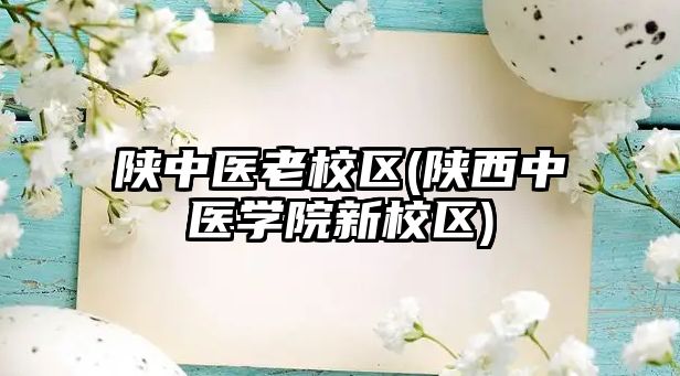 陜中醫(yī)老校區(qū)(陜西中醫(yī)學院新校區(qū))