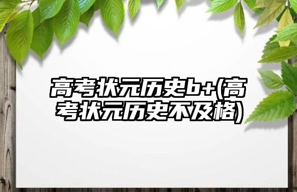 高考狀元歷史b+(高考狀元歷史不及格)