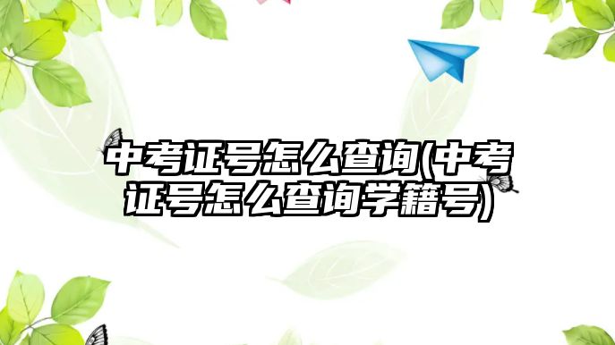 中考證號怎么查詢(中考證號怎么查詢學(xué)籍號)