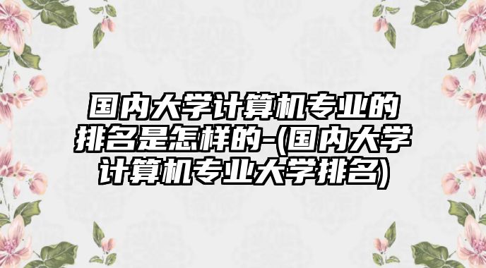 國內大學計算機專業(yè)的排名是怎樣的-(國內大學計算機專業(yè)大學排名)