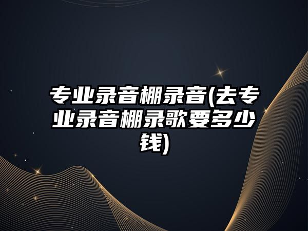 專業(yè)錄音棚錄音(去專業(yè)錄音棚錄歌要多少錢)