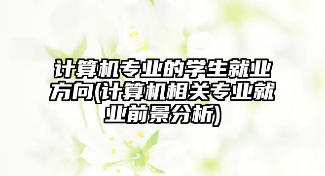 計算機專業(yè)的學(xué)生就業(yè)方向(計算機相關(guān)專業(yè)就業(yè)前景分析)