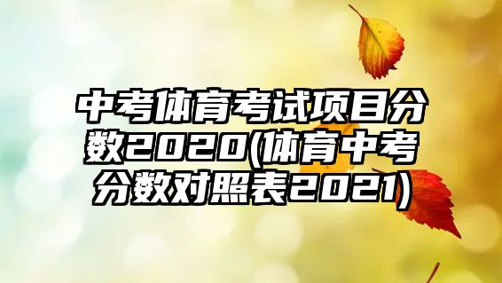 中考體育考試項(xiàng)目分?jǐn)?shù)2020(體育中考分?jǐn)?shù)對(duì)照表2021)