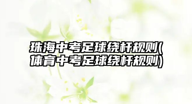 珠海中考足球繞桿規(guī)則(體育中考足球繞桿規(guī)則)