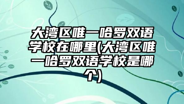 大灣區(qū)唯一哈羅雙語學(xué)校在哪里(大灣區(qū)唯一哈羅雙語學(xué)校是哪個(gè))