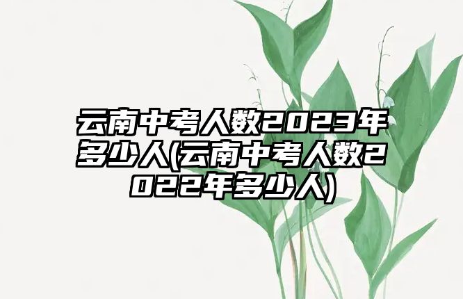 云南中考人數2023年多少人(云南中考人數2022年多少人)