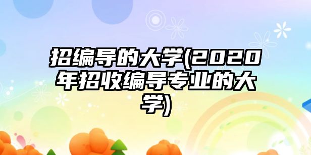 招編導的大學(2020年招收編導專業(yè)的大學)