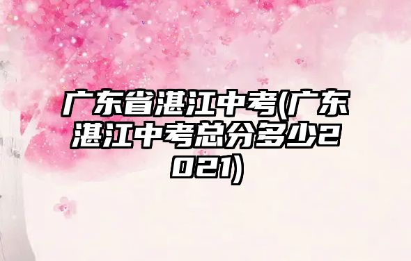 廣東省湛江中考(廣東湛江中考總分多少2021)