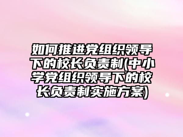 如何推進黨組織領(lǐng)導下的校長負責制(中小學黨組織領(lǐng)導下的校長負責制實施方案)