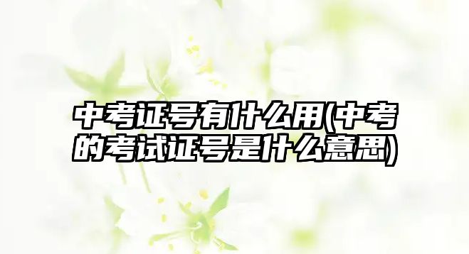 中考證號(hào)有什么用(中考的考試證號(hào)是什么意思)