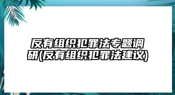 反有組織犯罪法專題調(diào)研(反有組織犯罪法建議)