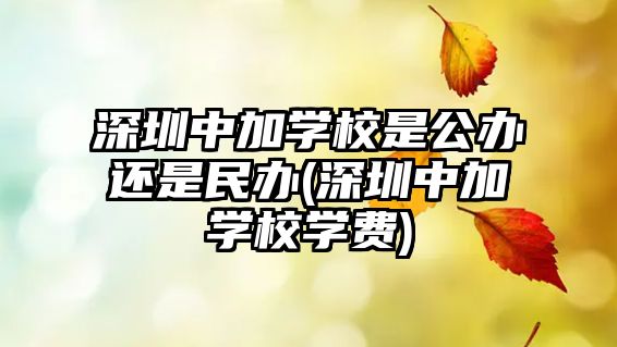 深圳中加學校是公辦還是民辦(深圳中加學校學費)